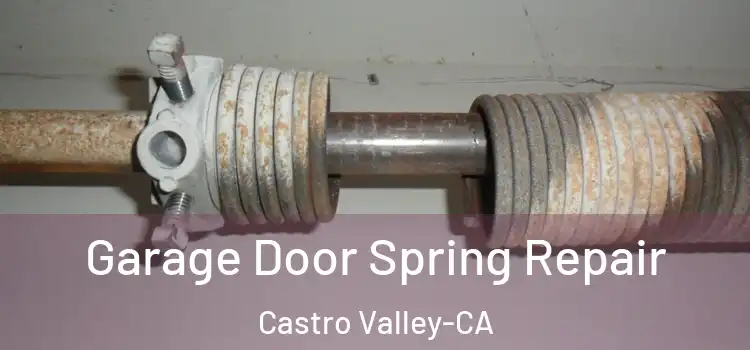  Garage Door Spring Repair Castro Valley-CA