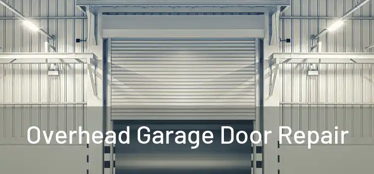  Overhead Garage Door Repair 