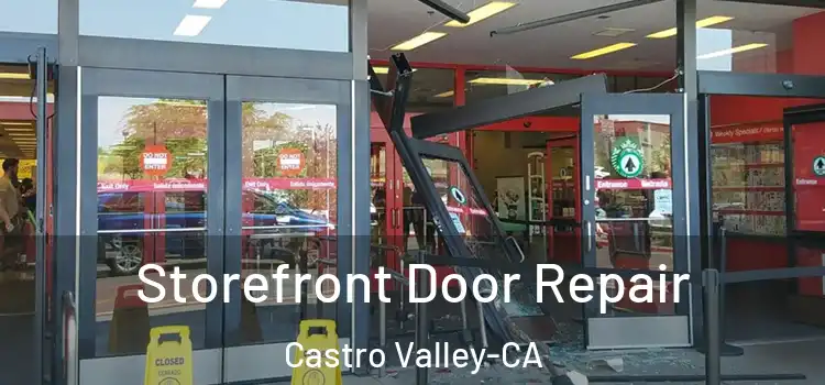 Storefront Door Repair Castro Valley-CA